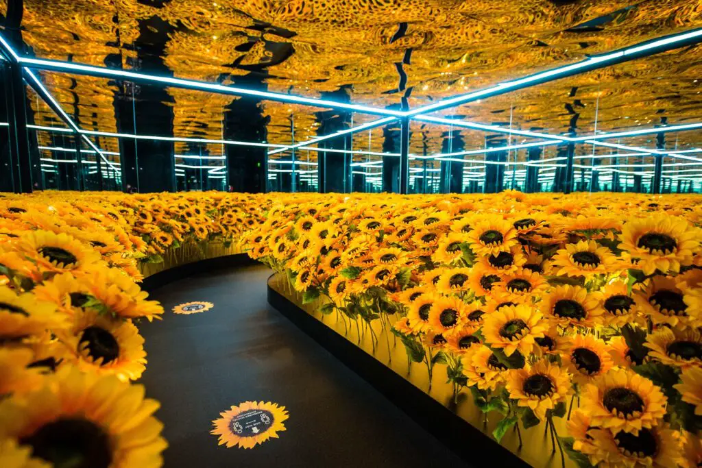 Van Gogh The Immersive Experience Exhibition Locations, Schedule