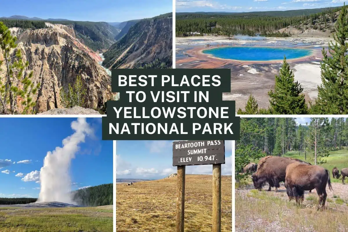 14 Best Places To Visit In Yellowstone - Best Places To Visit In Yellowstone National Park.webp