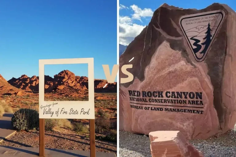 Red Rock Canyon vs Valley of Fire: Which One to Visit in 2023?