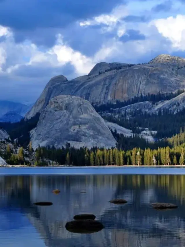 12 Unique Things to Do in Yosemite National Park