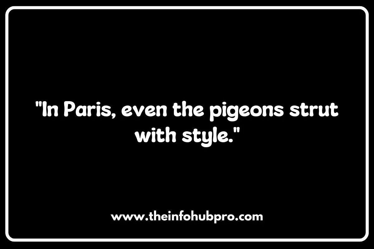 Witty Paris Quotes: Humor and Charm from the Streets of Paris Witty Paris Quotes: Humor and Charm from the Streets of Paris